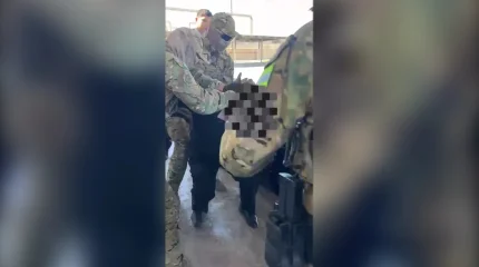 Водительские права вне закона: мошенники обманывают казахстанцев в сети