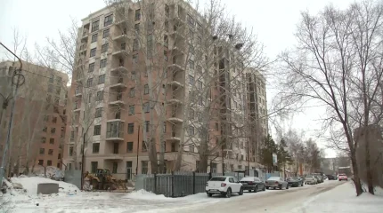 Қарағандыда құрылыс компаниясы 7 мыңнан астам ағашты заңсыз кесіп тастаған