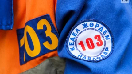 Мужчина с ножом напал на бригаду скорой помощи в Павлодаре