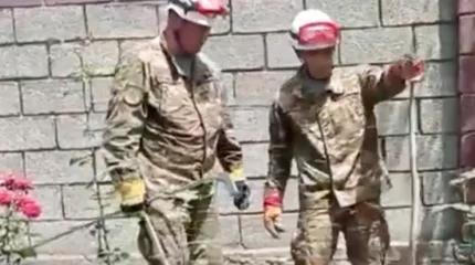 О нашествии змей в Шымкенте предупредили спасатели