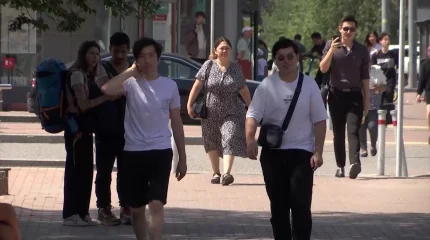 Алматыда кене көбейіп кетті