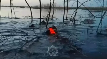 Алматы облысында ағыс алып кеткен ер адам құтқарылды