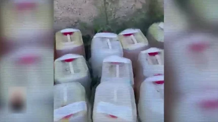 Жеке үйді есірткі зертханасына айналдырған