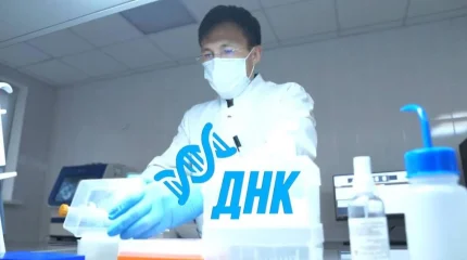 МВД раскрывает тяжкие преступления прошлых лет с помощью ДНК-анализа