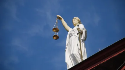 В Павлодаре осудили участников схемы по сбыту мака с примесью наркотиков