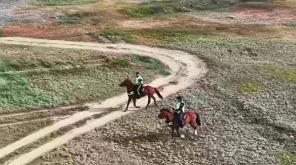 Одно из самых необычных подразделений полиции действует в области Абай