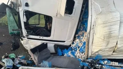 17 тонна саңырауқұлақ тиелген жүк көлігі аударылып қалды