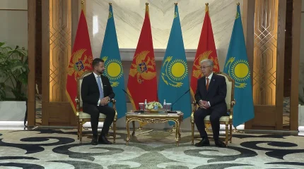 "Қазақстан нарығына кіргісі келетін черногориялық компанияларды қуана қарсы аламыз", - Президент