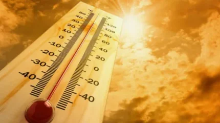 Өрт қаупі жоғары: елімізде аптап ыстық жалғасады