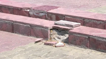 Павлодарда әкімдік саябақтың бүкіл аумағын бетондап, оған 368 млн теңге жұмсамақ болды