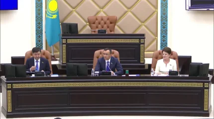 Сенат экологияға қатысты құжатты Мәжіліске қайтарды