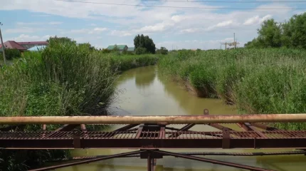 Атырауда 5жасар қыз бала каналға кетіп, көз жұмды