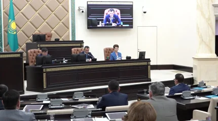 Сенат 30 жылда 3500 заң жобасын қабылдады