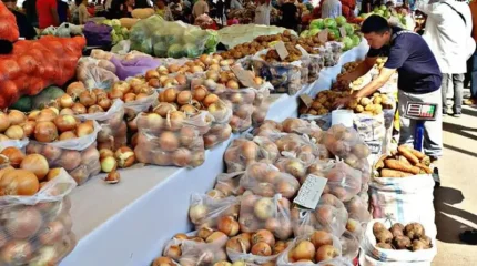 Астанада ауыл шаруашылығы жәрмеңкесі өтуде