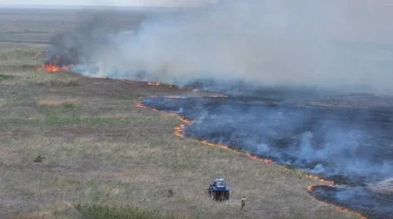 Атырауда қамыс өртенді