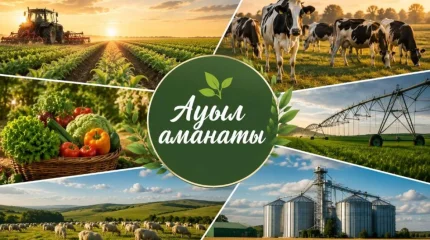 Түркістан облысында 3 жылда «Ауыл аманаты» жобасы арқылы 5 мыңға жуық жұмыс орны құрылды