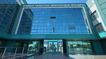 «Кім кінәлі?»: Жамбылда бесінші баласын босанған әйел қайтыс болды