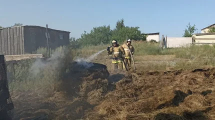 Пожар в Акмолинской области: две тонны сена едва не сожгли жилой дом