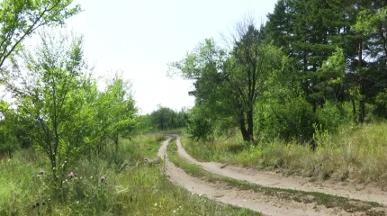 Осужденный за серию особо тяжких преступлений житель Петропавловска вновь стал фигурантом уголовного дела
