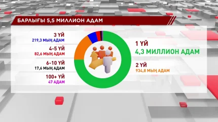 47 адамның иелігінде 100-ден астам тұрғын үй бар