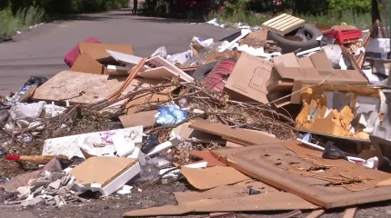 На нашествие крыс и плохую уборку мусора жалуются жители Темиртау