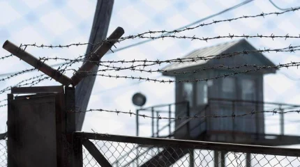 Телефоны, спрятанные в хлебе, пытались передать осужденным в ВКО