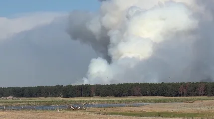 В ликвидации пожара в «Семей орманы» задействованы более 600 человек, наземная техника и вертолеты