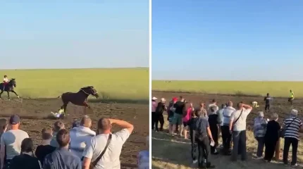 Полицейский выхватил ребенка из-под копыт лошадей