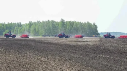 Павлодар облысында 18 миллион теңгенің ауыл шаруашылығы жері мемлекетке қайтарылды
