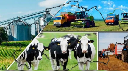 «Ауыл аманаты» бағдарламасы аясында кәсіп ашуға жылдық 2,5%-бен несие беріледі