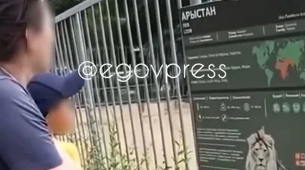 Женщина бросала камни во льва и показывала это детям в зоопарке Алматы
