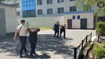 В Павлодарской области полиция задержала группу скотокрадов