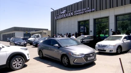 Алматы облысында 30-дан астам адам көлігінен айырылды