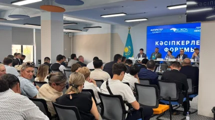 Члены Республиканского штаба Демократической партии "Ак жол" проводят встречи с избирателями"