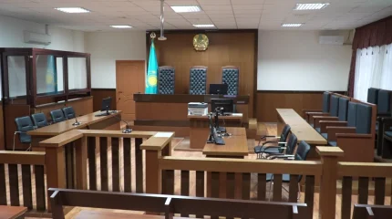 Түркістан облысында анасын өлтірді деген күдікпен ұлы ұсталды