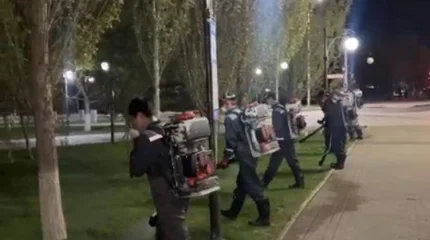 Астанада маса мен шыбын-шіркейге қарсы өңдеудің төртінші кезеңі өтіп жатыр