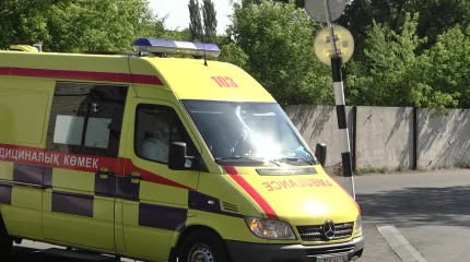 Кусок льда скинули на голову жительницы Павлодара: появились подробности ЧП