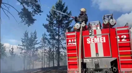 "Семей орманындағы" өрт толықтай сөндірілді