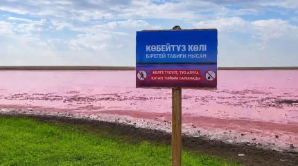 По поручению Главы государства на озере Көбейтұз начали действовать природоохранные ограничения