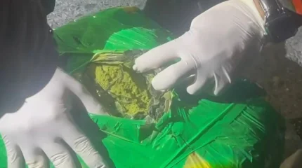 Жамбыл облысында көлігіне 8,5 келі гашиш жасырған жүргізуші ұсталды