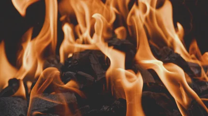 Қарағандыда полиция қызметкері өрт шыққан пәтерден 5 баланы құтқарып қалды