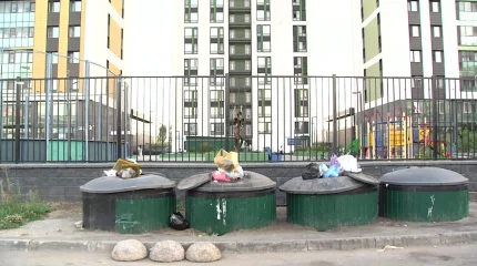 Жители одного из столичного ЖК почти четыре года добиваются переноса мусорной площадки
