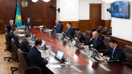 Үкіметте Президенттің отандық тауарды қолдау жөніндегі тапсырмаларының жүзеге асырылу барысы қаралуда