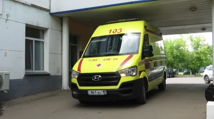 Қызылжарда мас жүргізуші көлікпен аударылып, жолаушы мерт болды