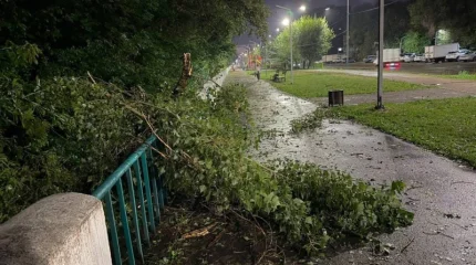 Өскеменде дүлей дауылдан 25 мыңға жуық абонент жарықсыз қалды