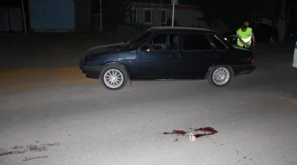 Пешехода насмерть сбили на переходе в Аулиеколе