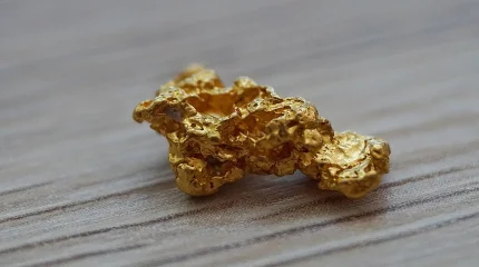 В Кызылординской области пресекли незаконную добычу золота