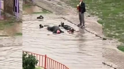 Аулада ішімдік ішіп, балаларға шалшық су шашқан екі ер адам қамауға алынды