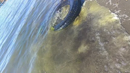 Масляные пятна обнаружили в Каспийском море у пляжа Аташ