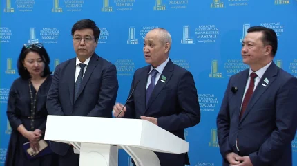 "Мемлекеттік жауапкершілік саяси партиялардың мойнында болады", - сарапшы